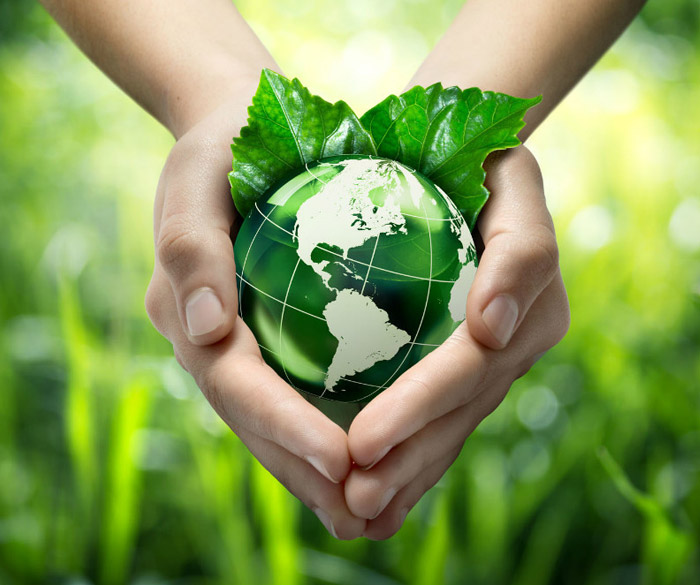 Ecologie